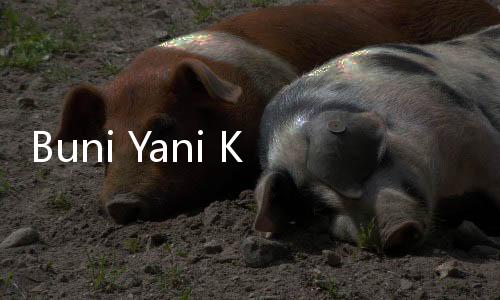 Buni Yani Kecewa dengan Putusan Hakim