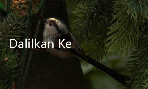 Dalilkan Kecurangan, Hakim MK Sebut BPN Pakai Narasi Akun Facebook