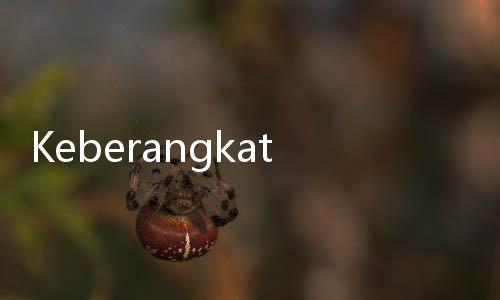 Keberangkatan Haji Sering Terlambat dan Perubahan Jadwal, Maskapai Diminta Lebih Kooperatif