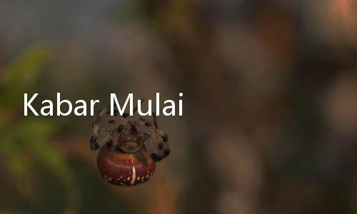 Kabar Mulai Ada Pendataan Vaksin Covid