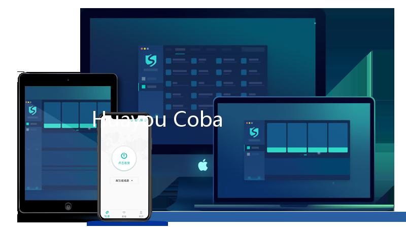Huayou Cobalt