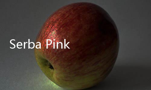 Serba Pink di Laz Hotel Lazada Festival 12.12, Bukan Cuma Buat Cewek