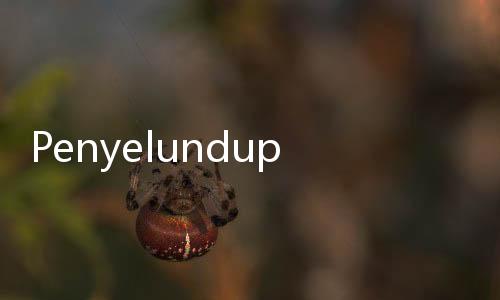 Penyelundupan Ribuan Benih Lobster Berhasil Digagalkan